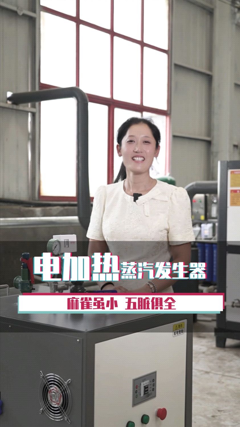 电加热蒸汽发生器