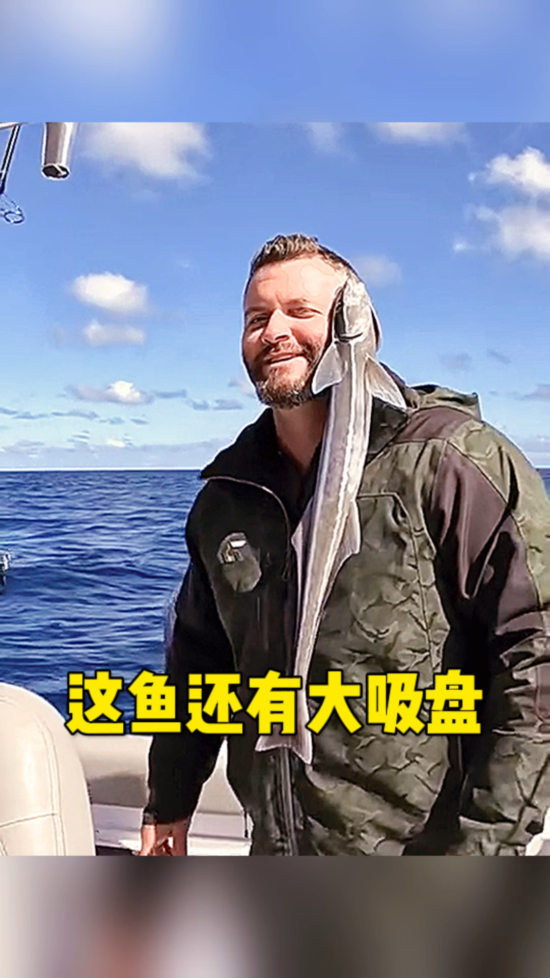 这鱼还自带吸盘呢