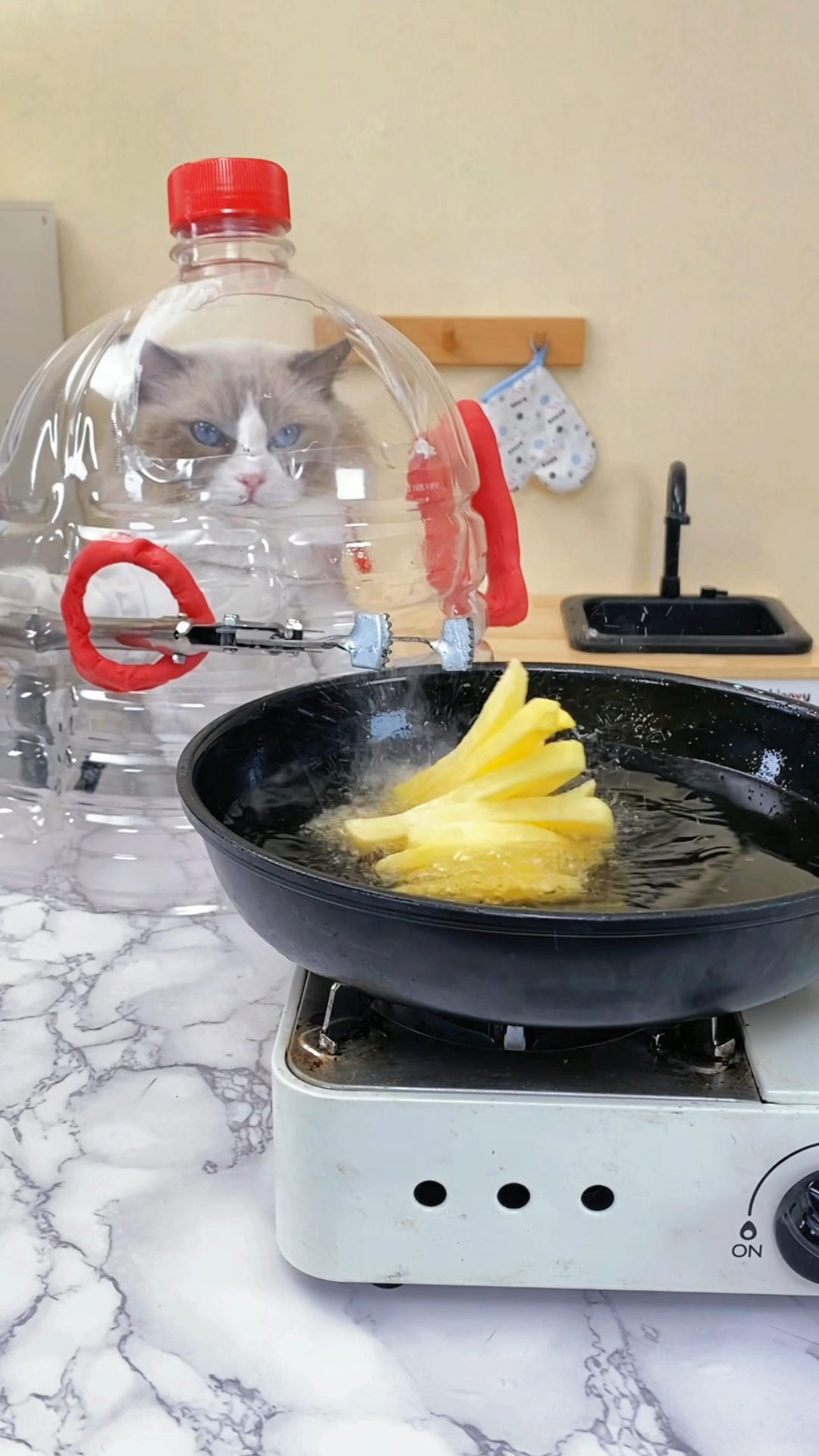 小Puff发现了正确的炸薯条方法!