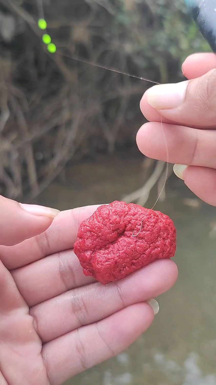 溪石斑鱼怎么钓。