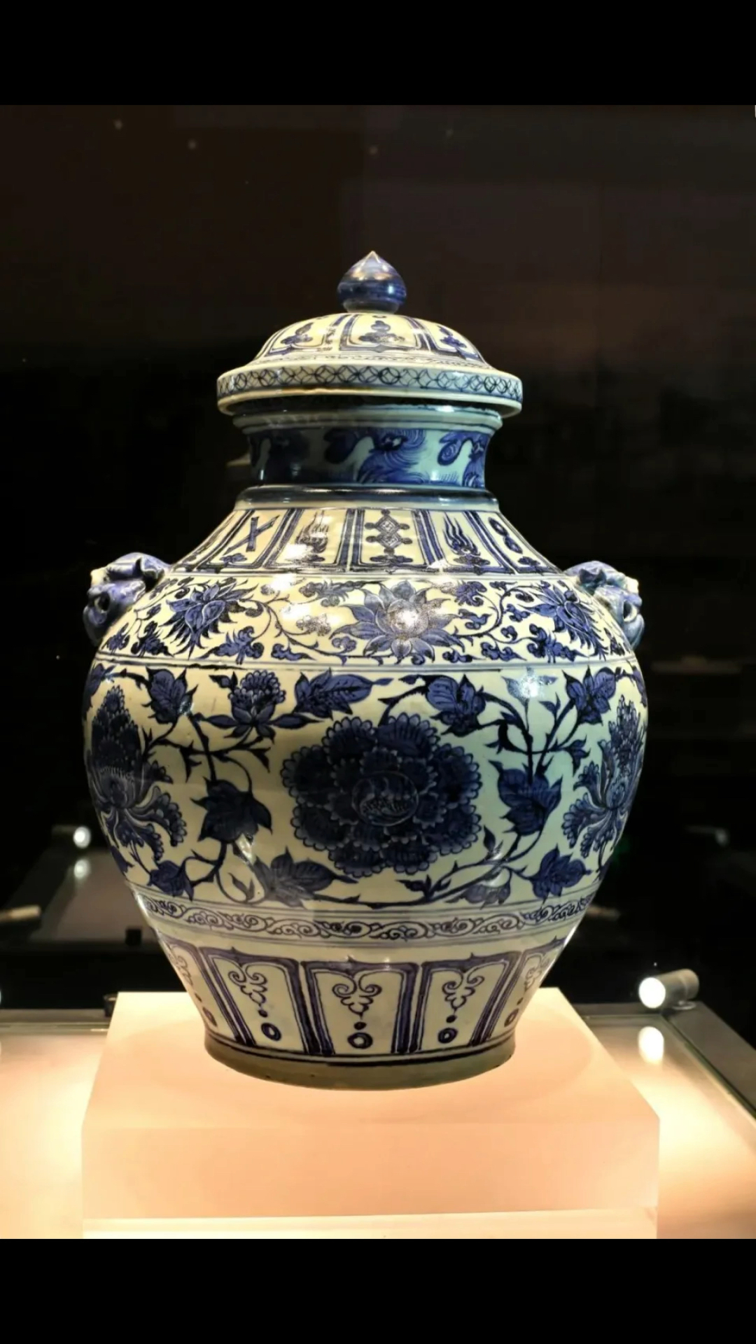 明朝开国大将汤和墓竟发掘出土元青花大罐