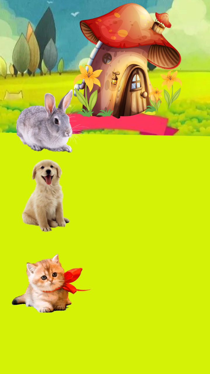 小朋友给小兔子吃鱼#动画小视频