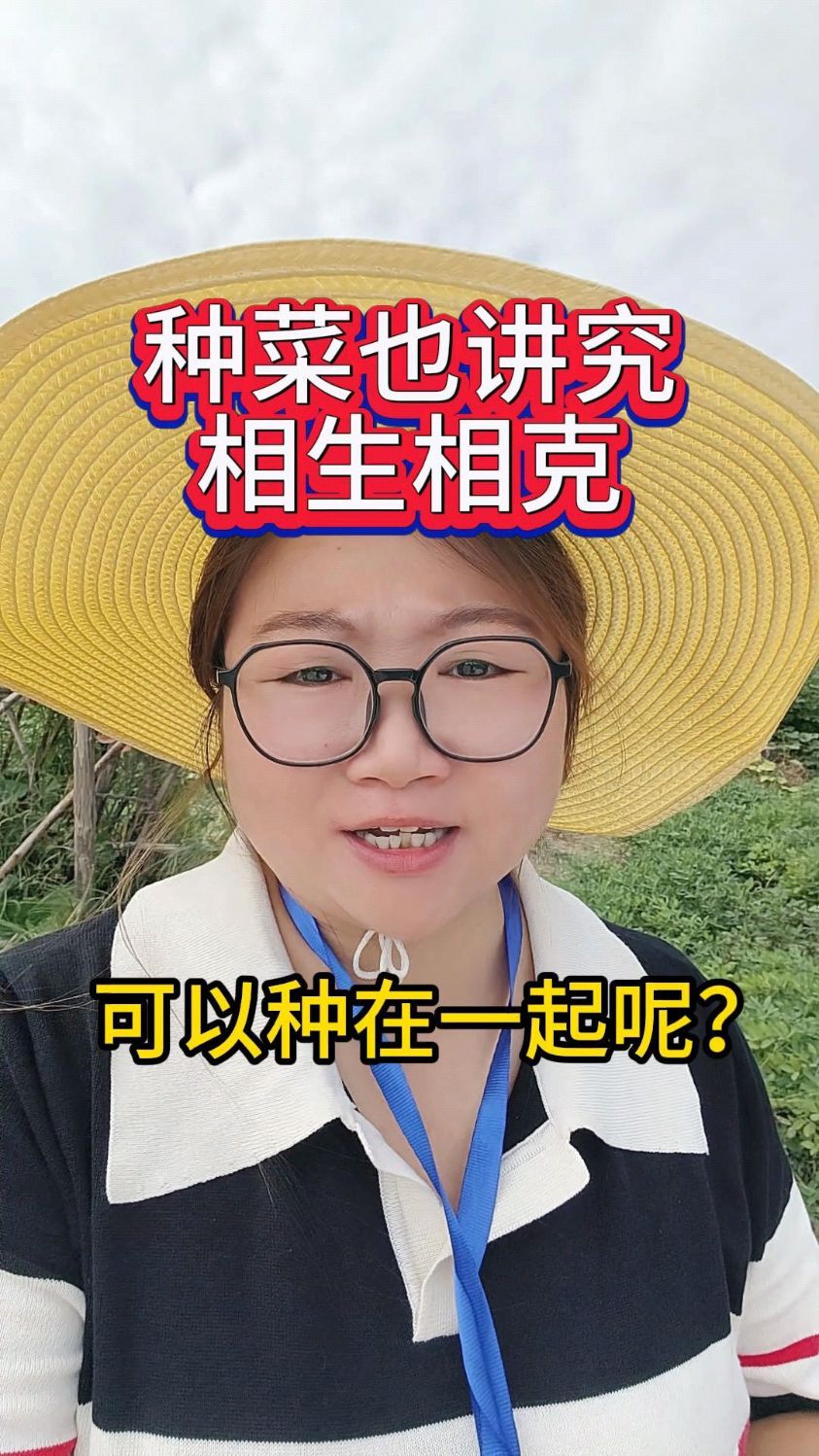 种菜也讲究相生相克,你还知道哪些呢?