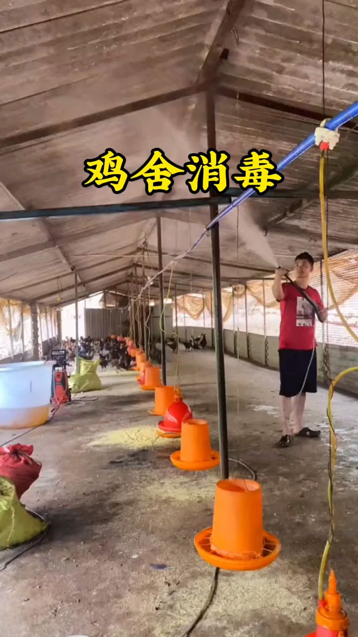 养鸡鸡舍消毒怎么办