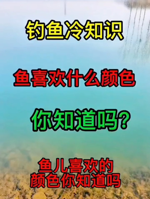 不同种类的鱼儿喜欢什么颜色,钓友们知道吗?
