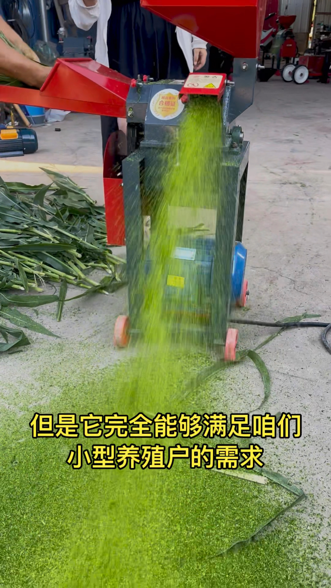养猪鸡鸭鹅,小型养殖户,首选,超精细牧草打浆机,干事湿两用