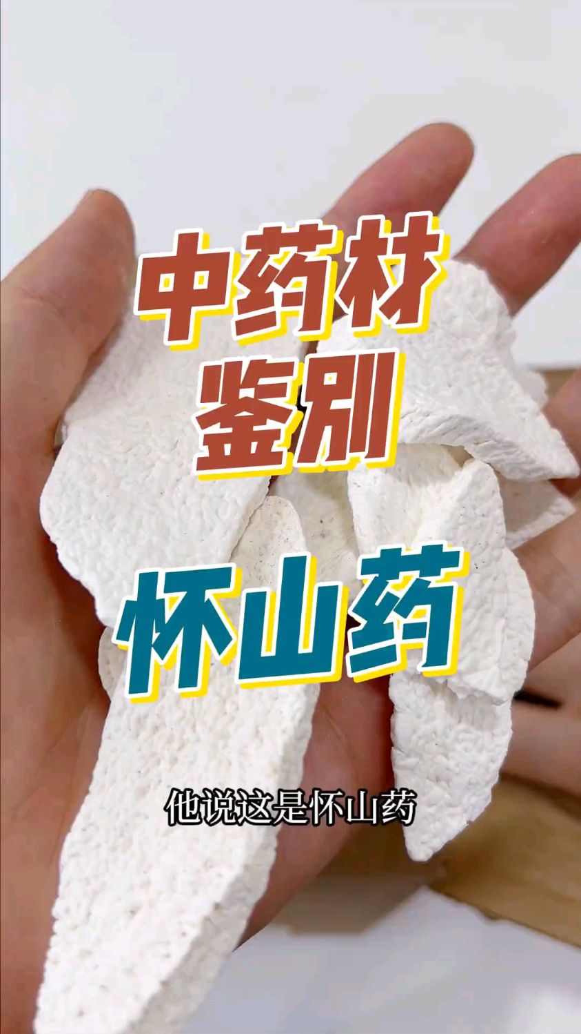 中药材鉴别之怀山药
