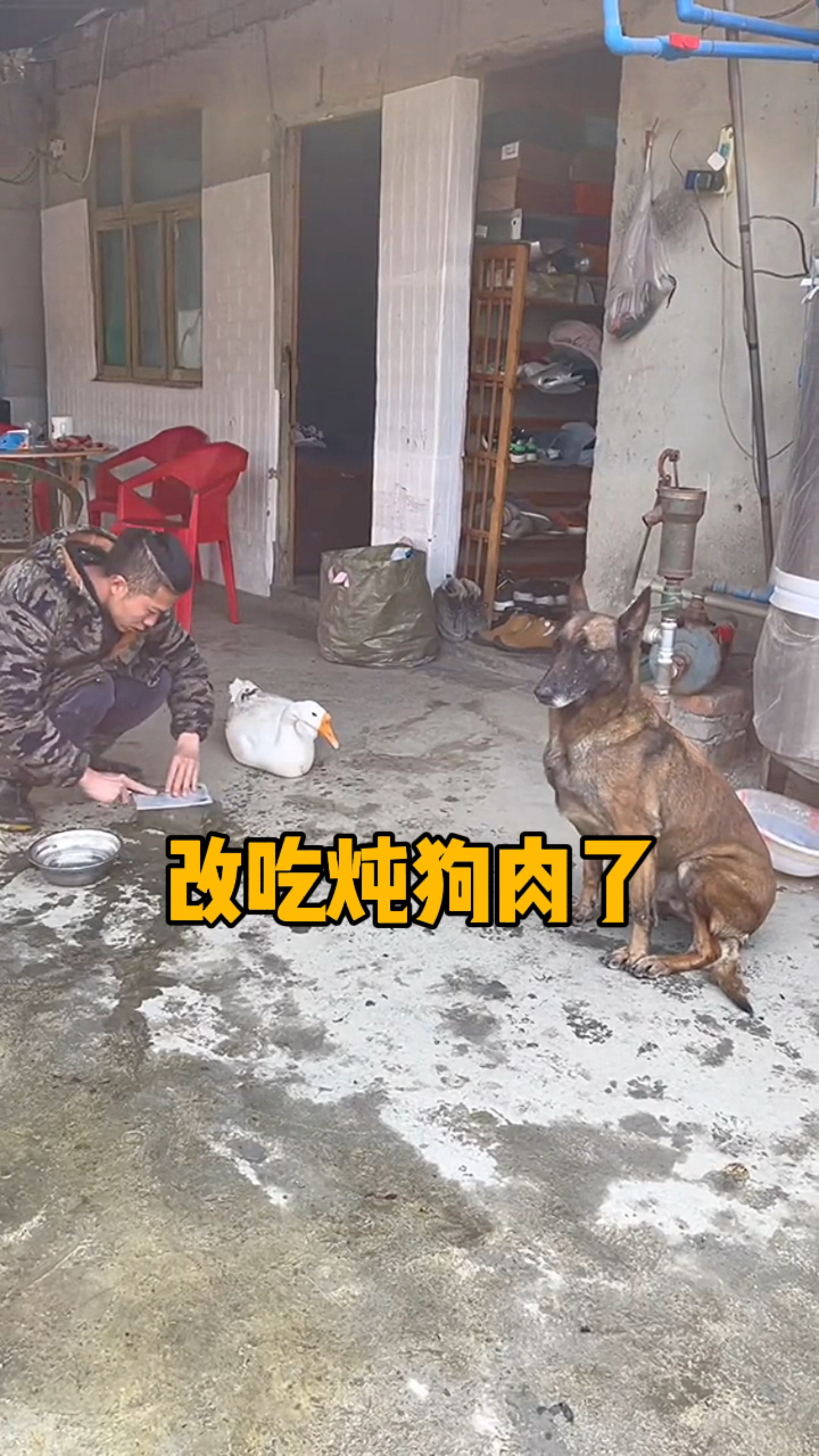 不吃铁锅炖大鹅了,改吃炖狗肉