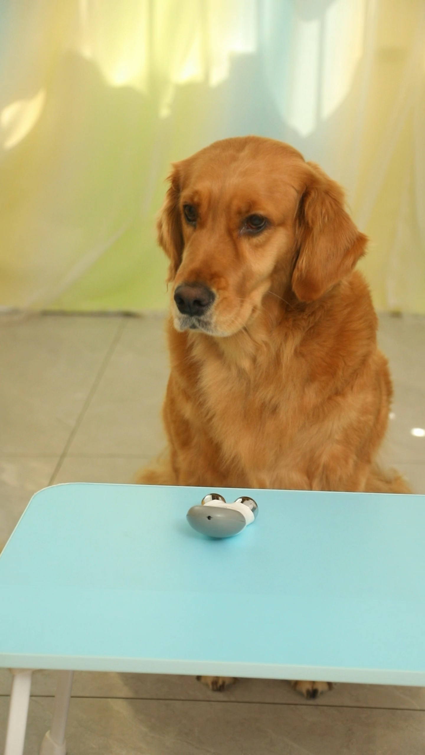 美容仪真的没有青李子好吗