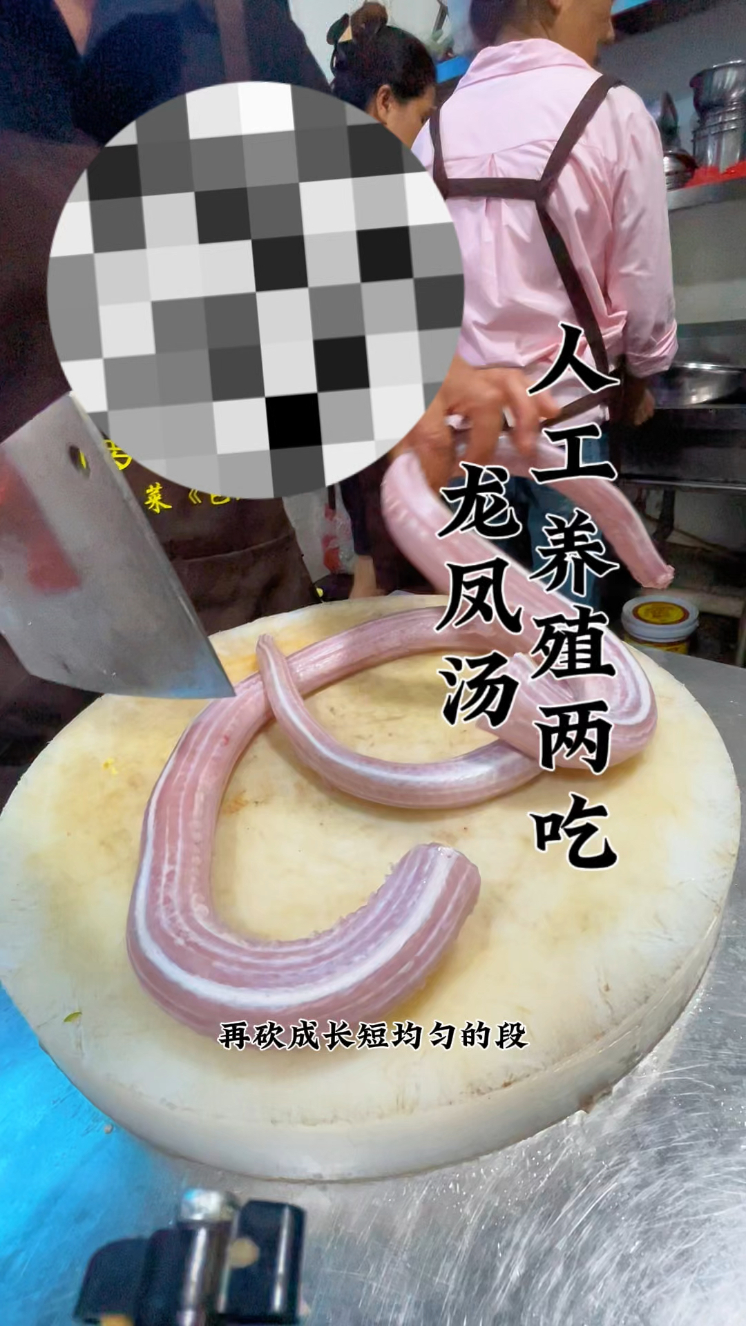 人工养殖大黄鳝龙凤汤