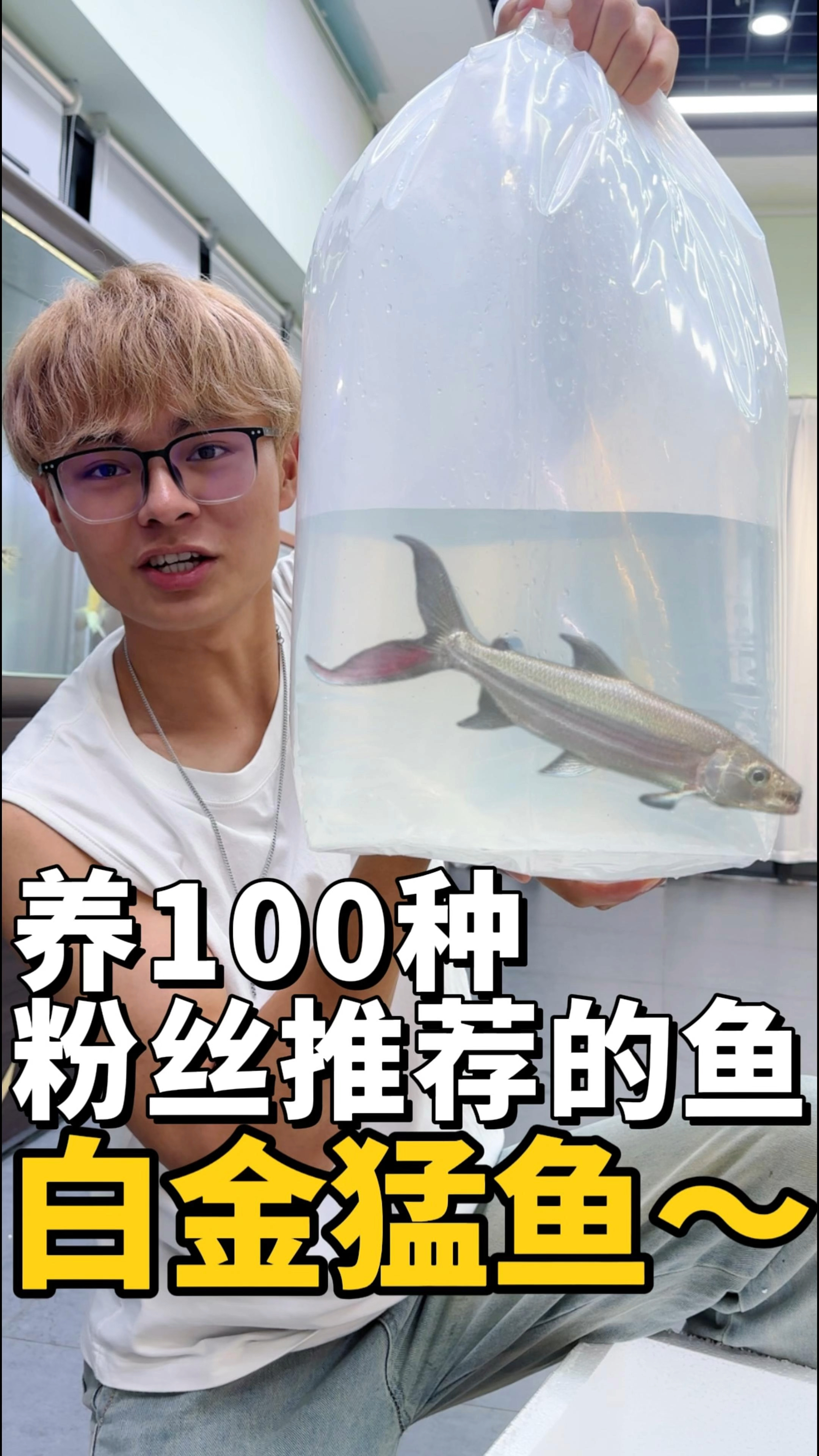 养100种粉丝推荐的鱼-白金猛鱼!牙齿比鳄鱼还要锋利!