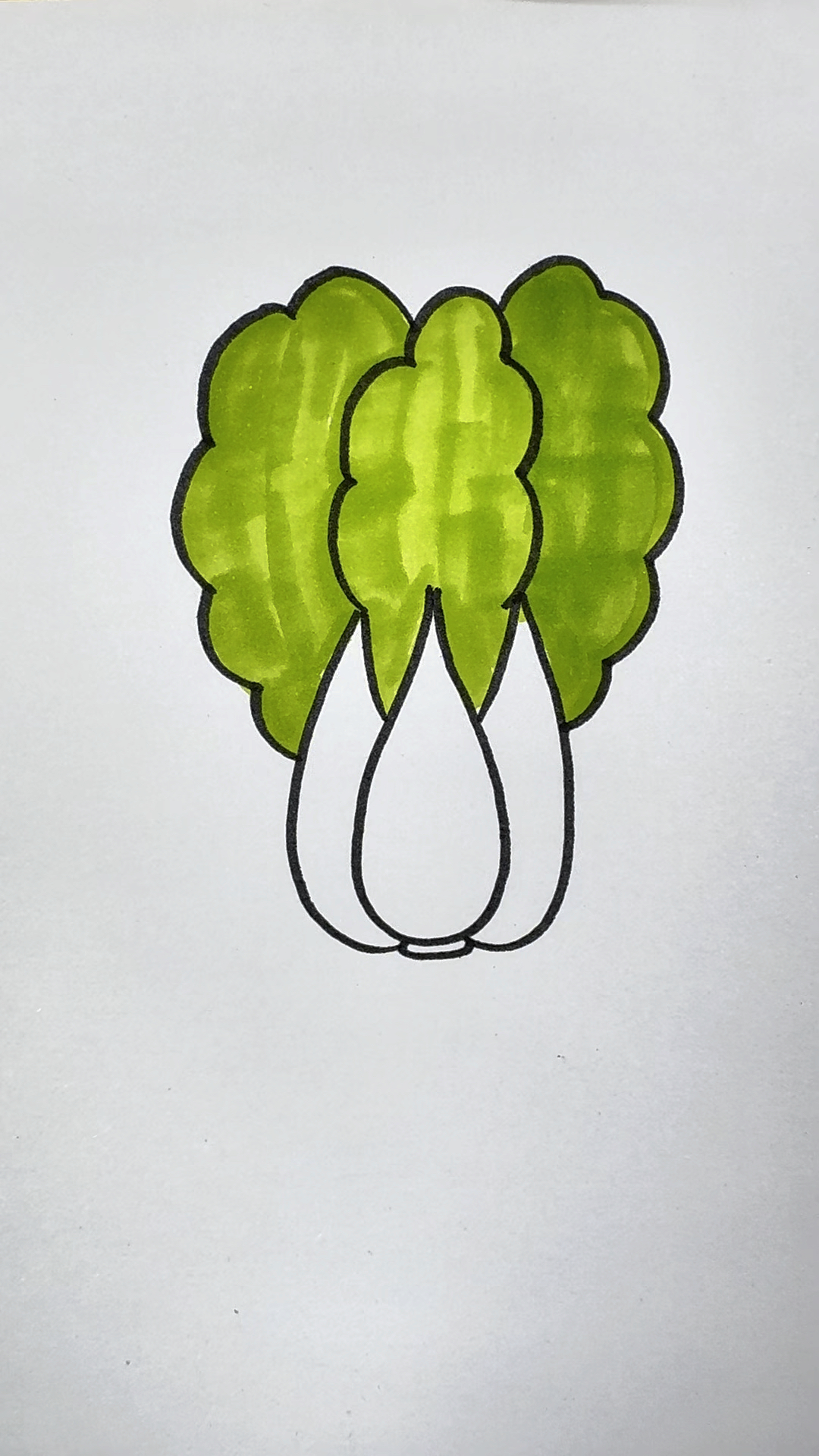 一起来画简笔画大白菜