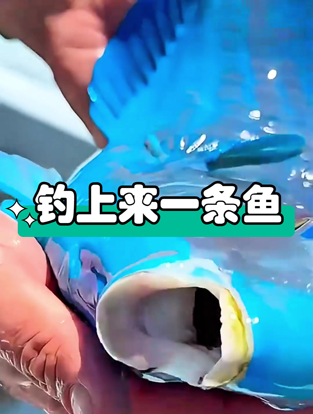 两兄弟在海里钓上来一条鱼,直呼怎么这么漂亮
