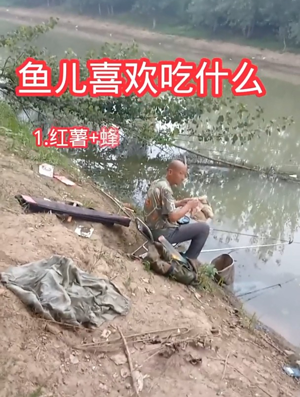 鱼儿喜欢吃什么?老钓友列举这5种!
