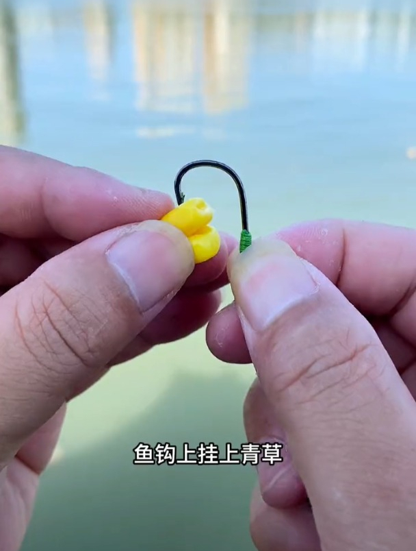 钓草鱼这种方法挂玉米粒就行,比学习什么调漂开饵更实用!
