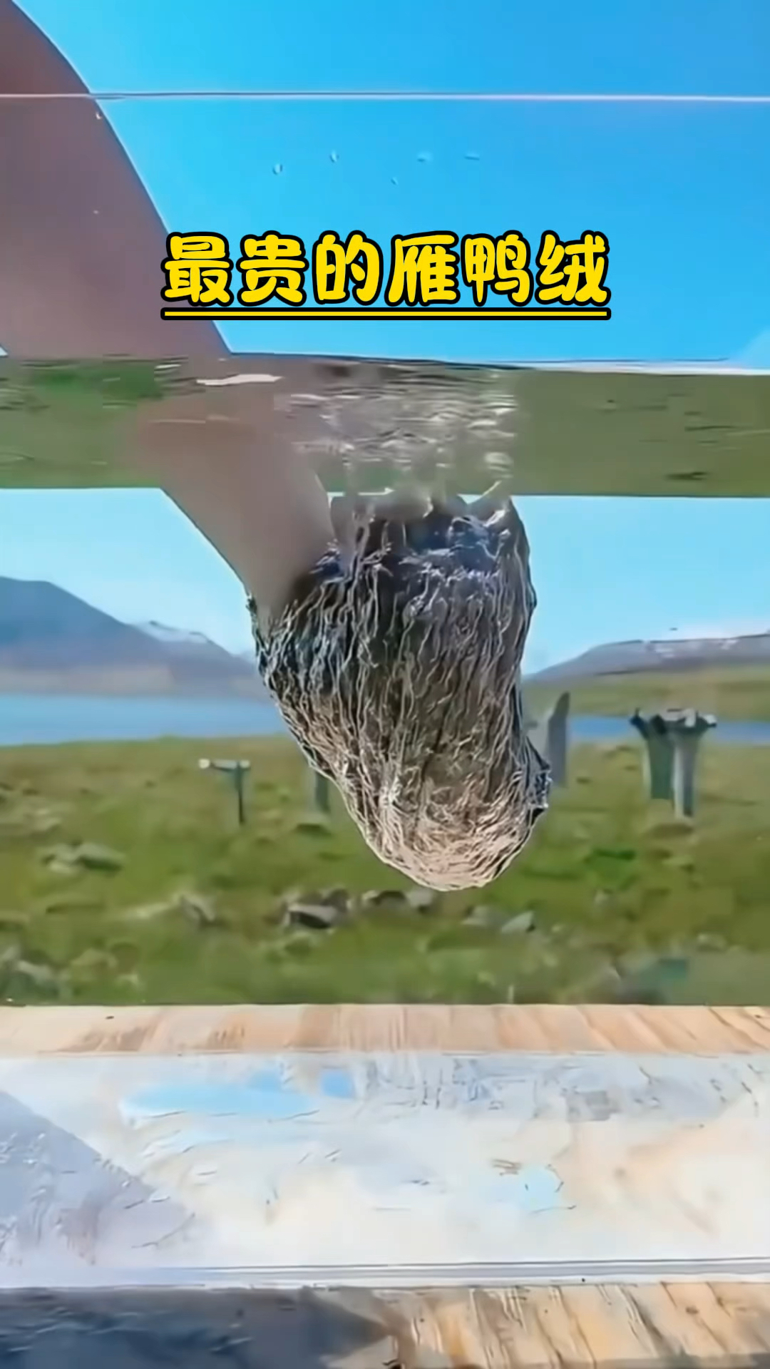 世界上最贵的雁鸭绒