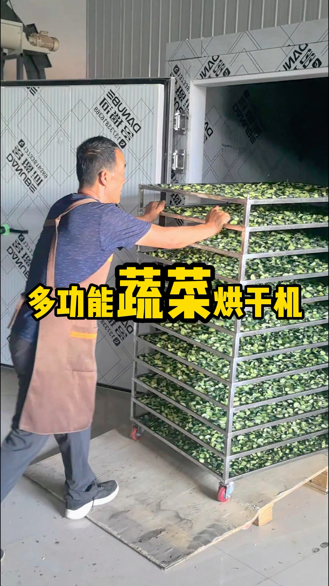 多功能蔬菜烘干#豆角烘干机#辣椒烘干机#土豆烘干机