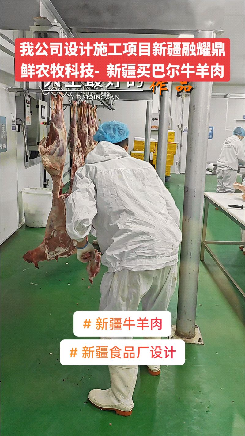 我公司设计施工项目案例-新疆融耀鼎鲜农牧科技新疆买巴尔牛羊肉