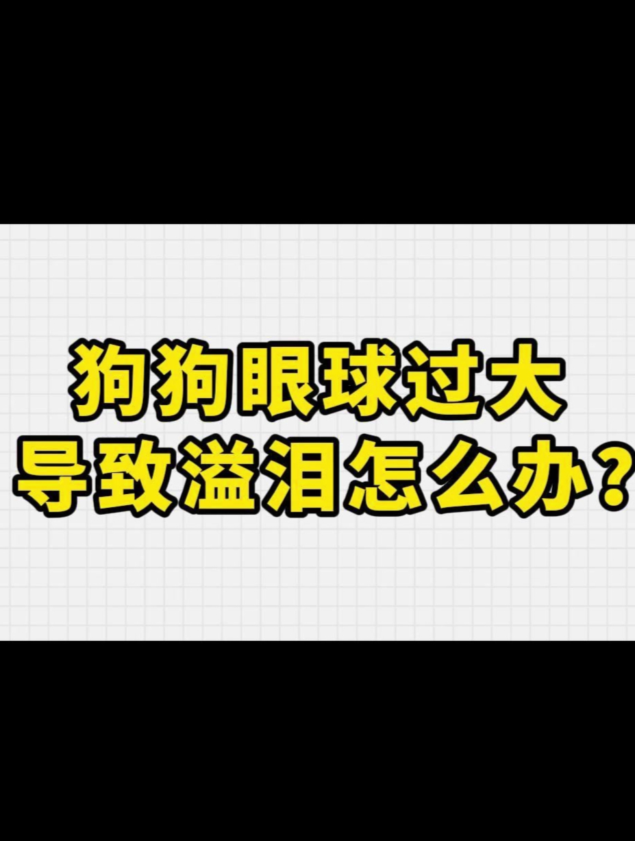 大眼萌狗怎么去泪痕?