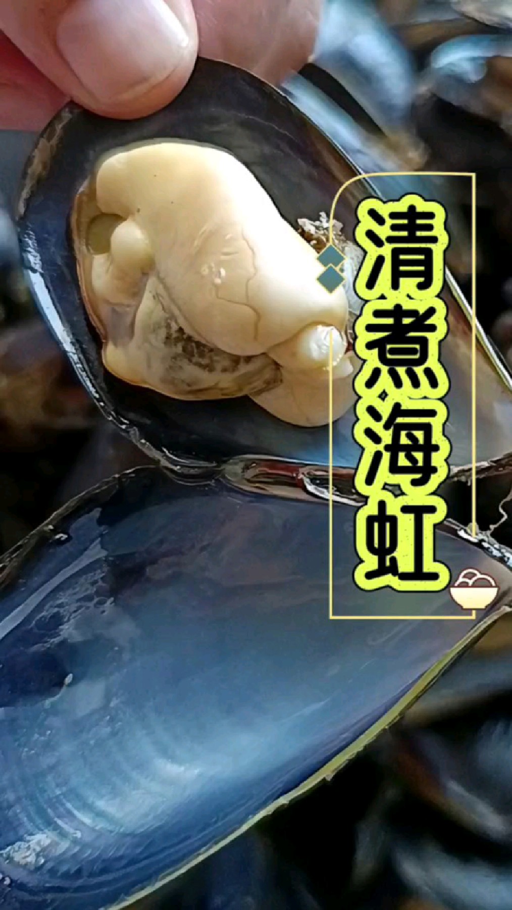 清煮海虹,什么不用放,非常鲜美