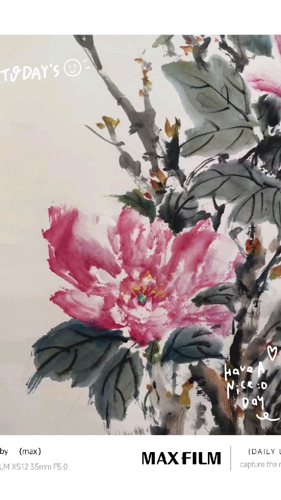 《蝶恋花》牡丹国画