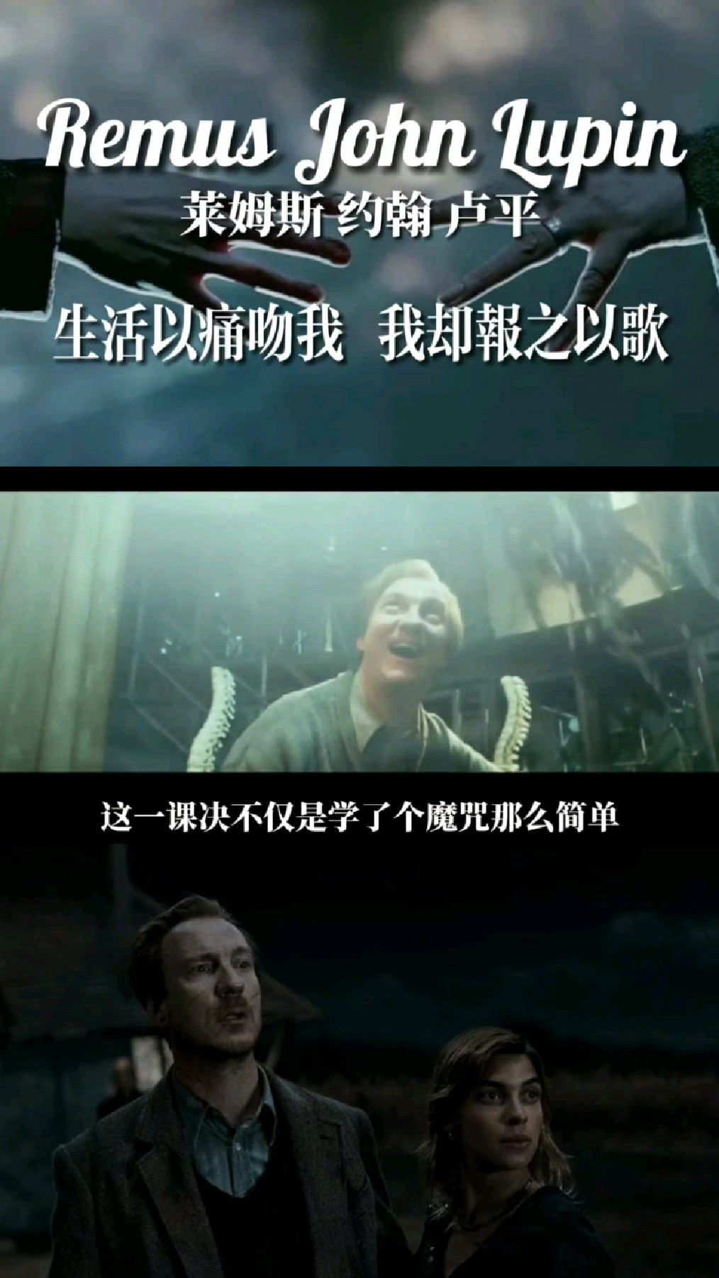 【哈利波特人物传】莱姆斯·卢平——双鱼座的月亮脸先生<下>