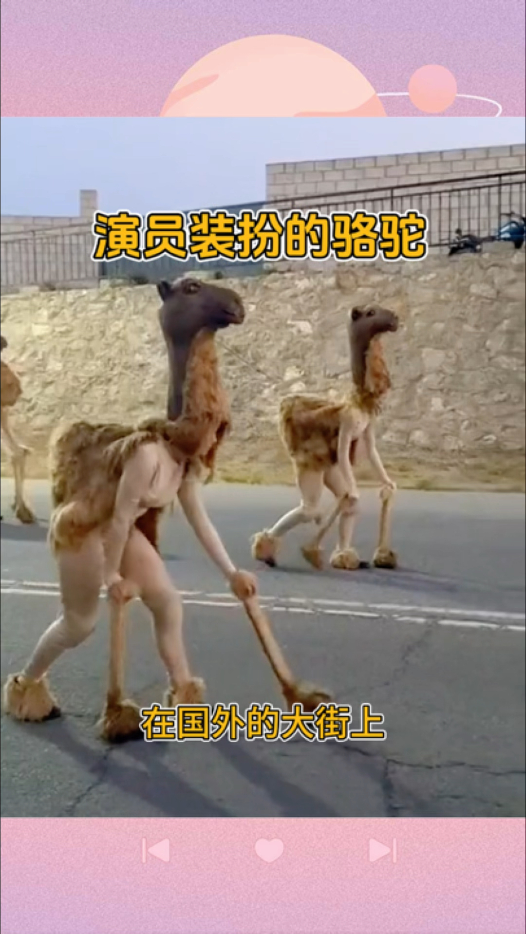 演员装扮的骆驼,有点像行尸走肉