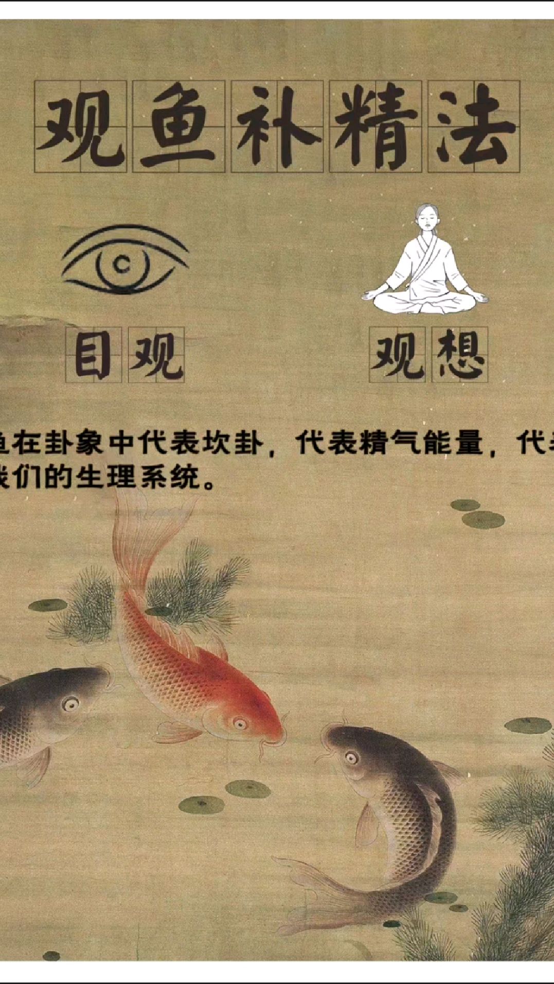 跟着古人学养生!观鱼增精力