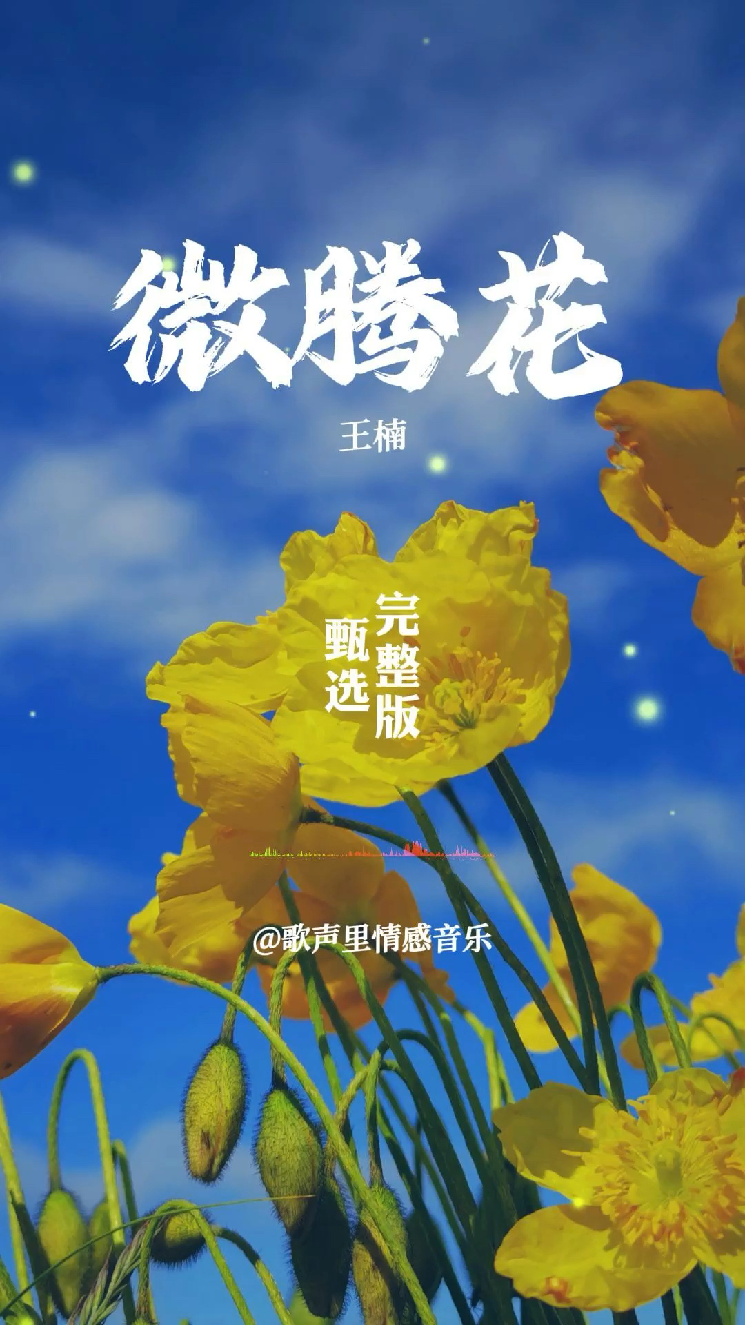 王楠《微腾花》完整版,轻柔婉转,悦耳动听