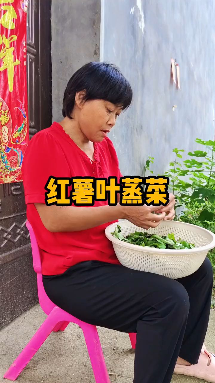 红薯叶蒸菜,真的太好吃了,百吃不厌,你们快来尝尝