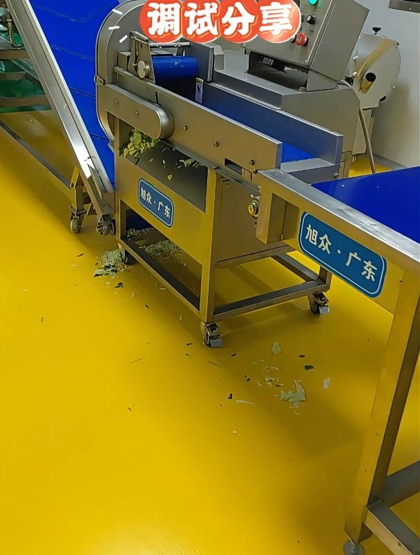 广西净菜加工设备调试现场