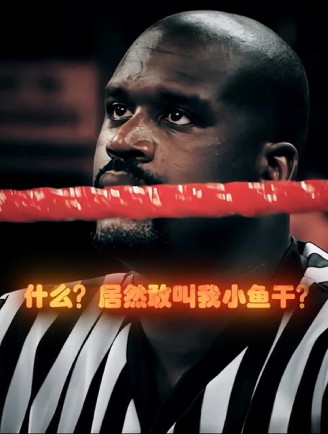 这就是挑衅大鲨鱼的下场