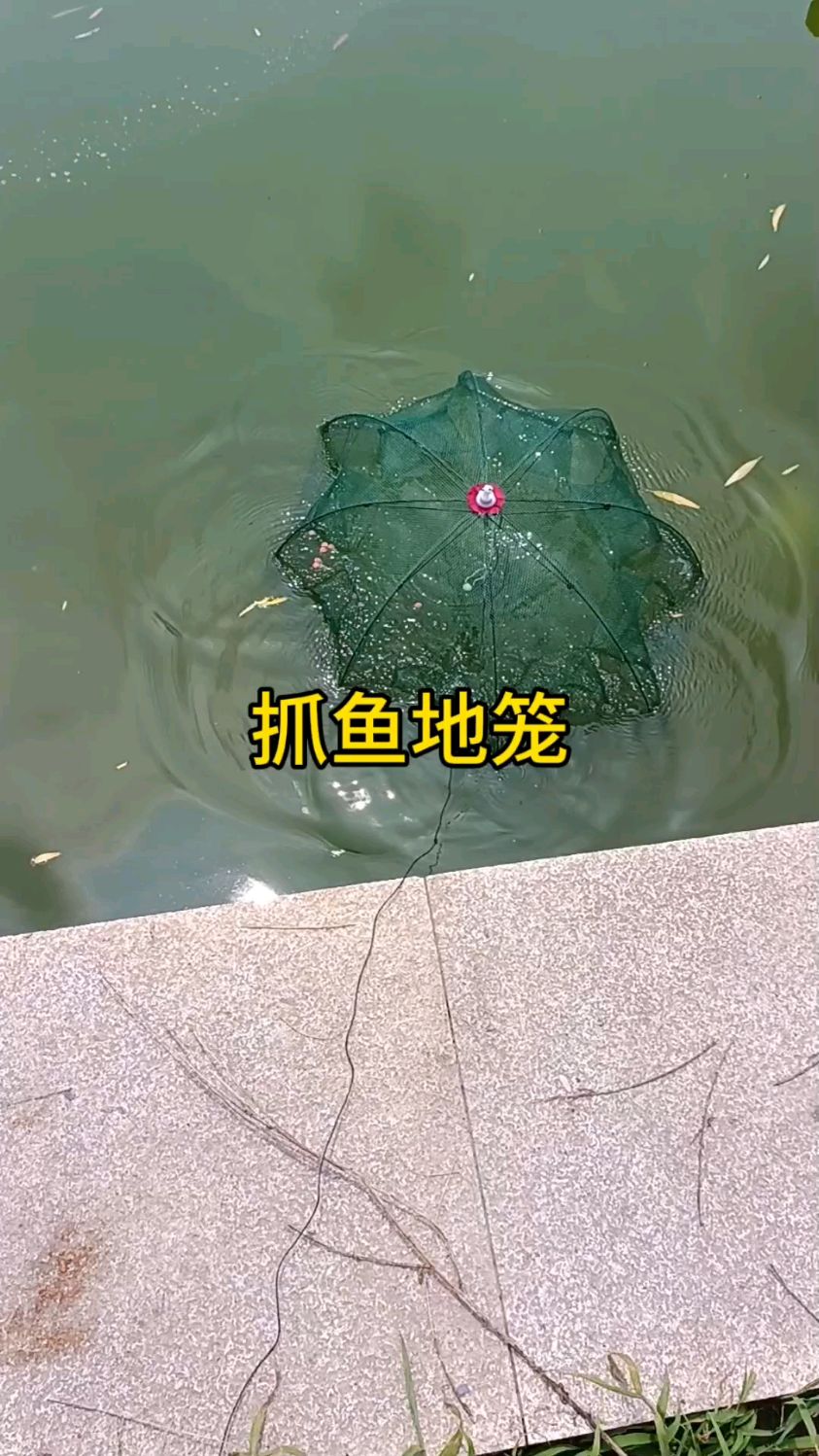 可以抓鱼抓虾的地笼