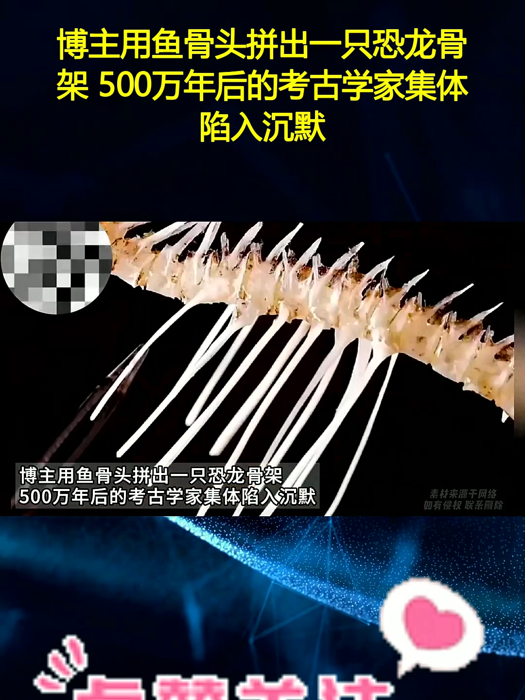 博主用鱼骨头拼出一只恐龙骨架 500万年后的考古学家集体陷入沉默