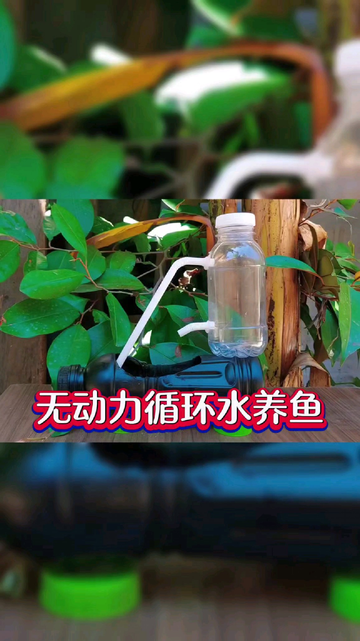 无动力循环水养鱼技术