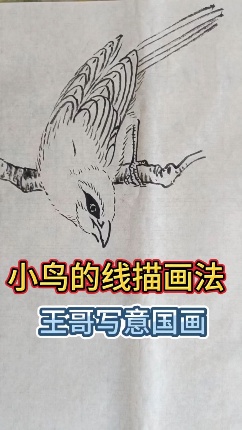 小鸟这样画美极了