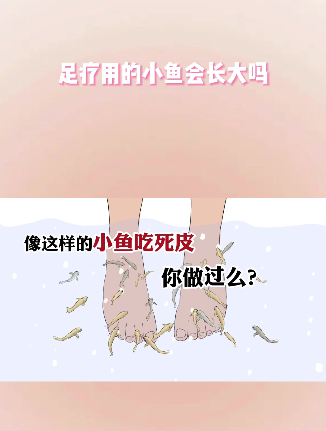 足疗用的小鱼会长大吗