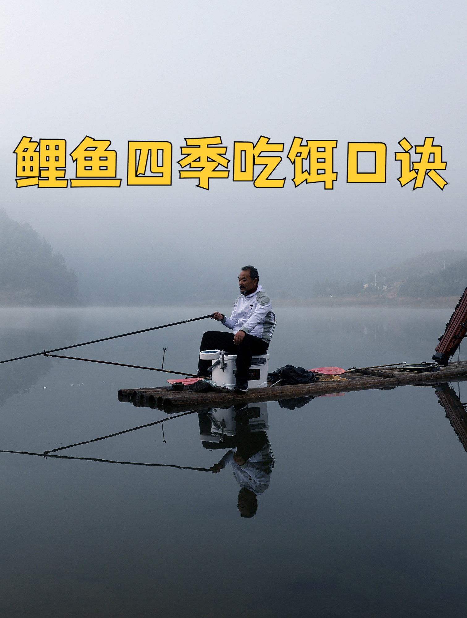 鲤鱼四季吃饵口诀,钓友牢记这几句,不愁鱼获空手归!