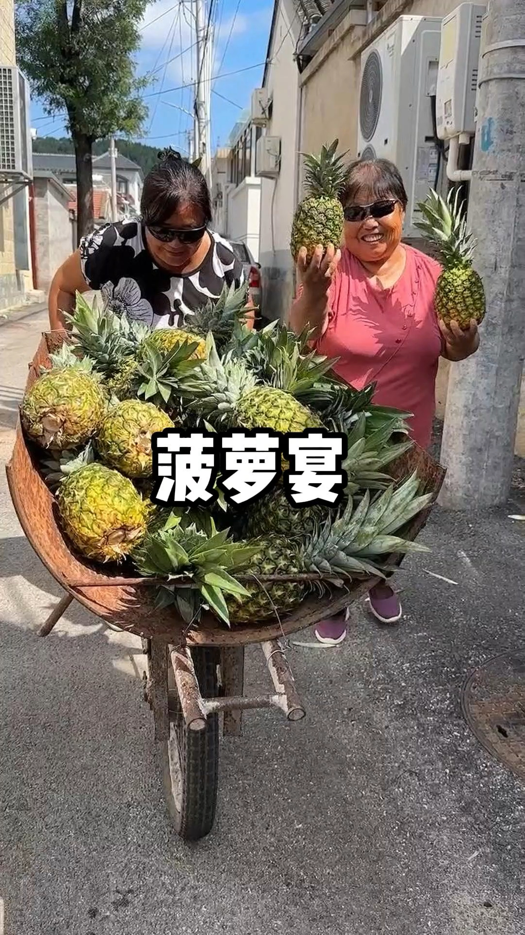 菠萝味儿可不一般