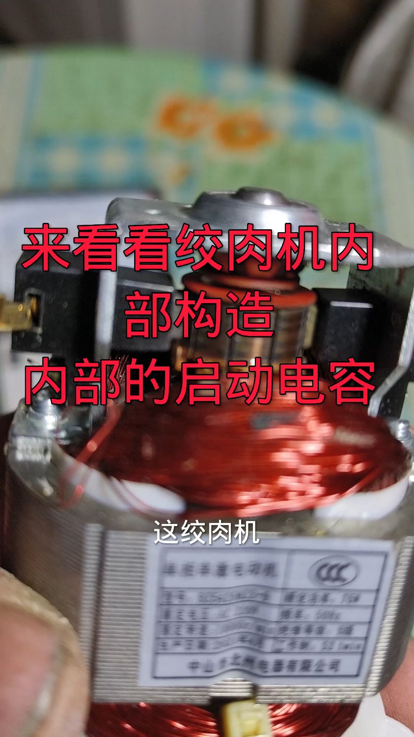 绞肉机内部结构启动电容