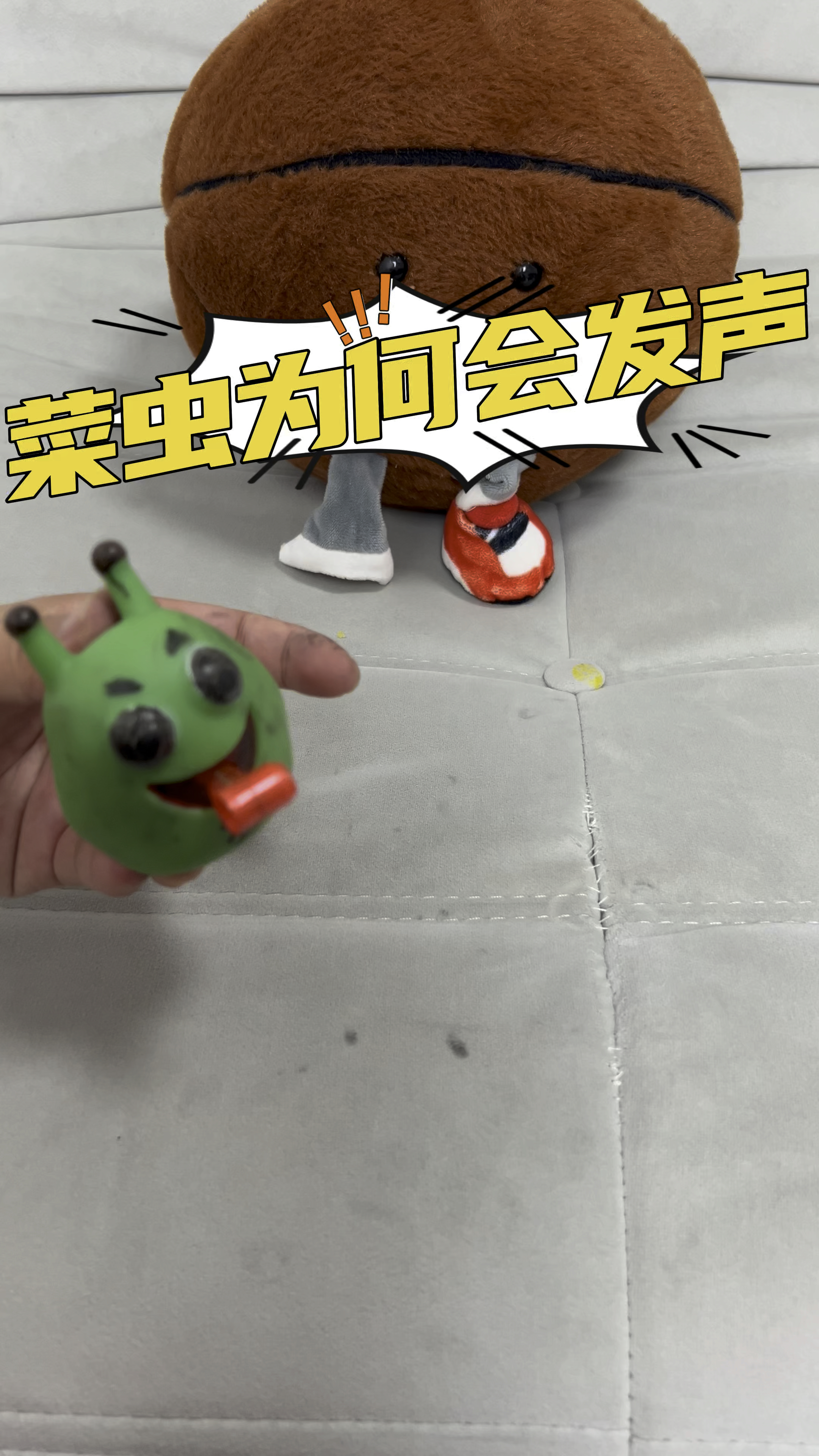 菜虫为何会发尖叫声,太神奇了!