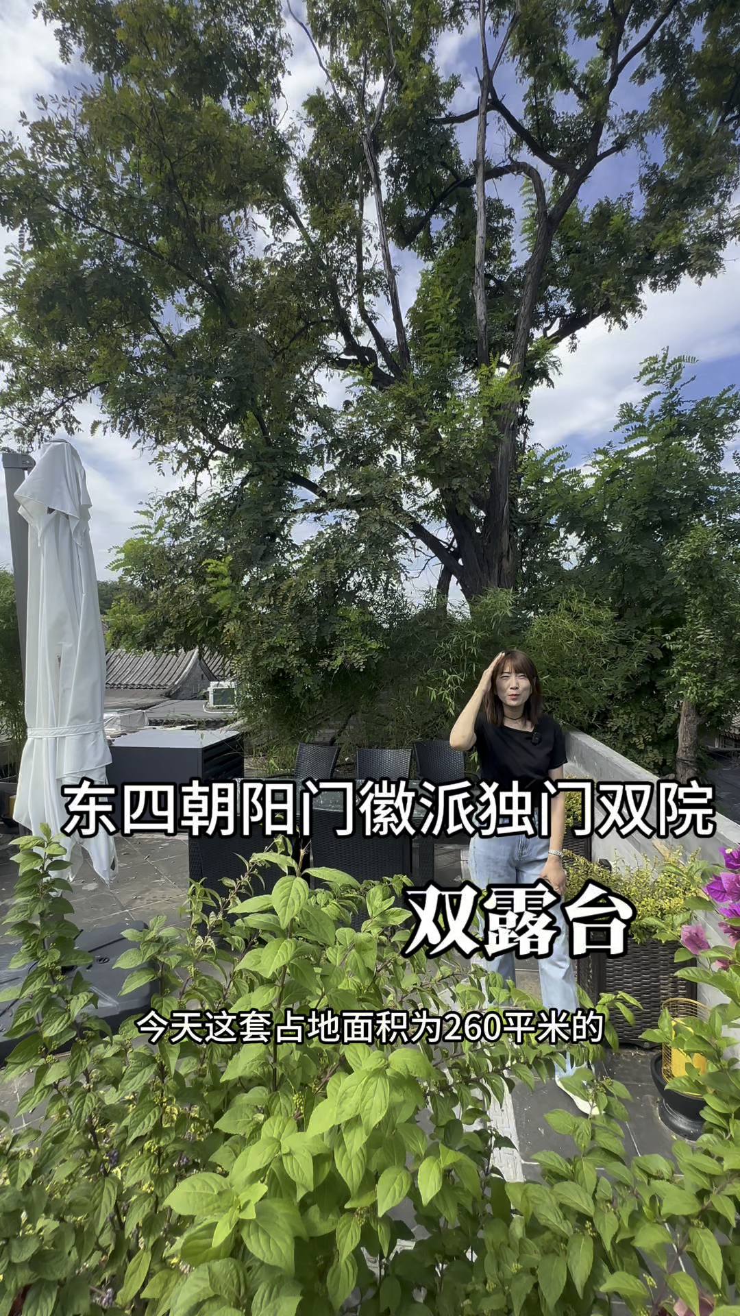 东四朝阳门一套占地260平的带双露台的徽派独门 独院 超美的吆!