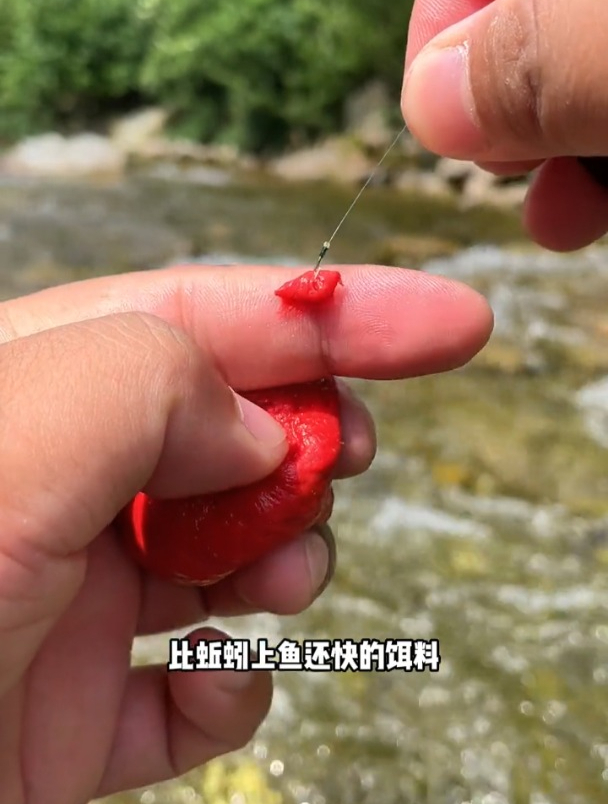 溪流钓石斑鱼,号称比蚯蚓红虫上鱼还快的面筋饵,效果怎么样?
