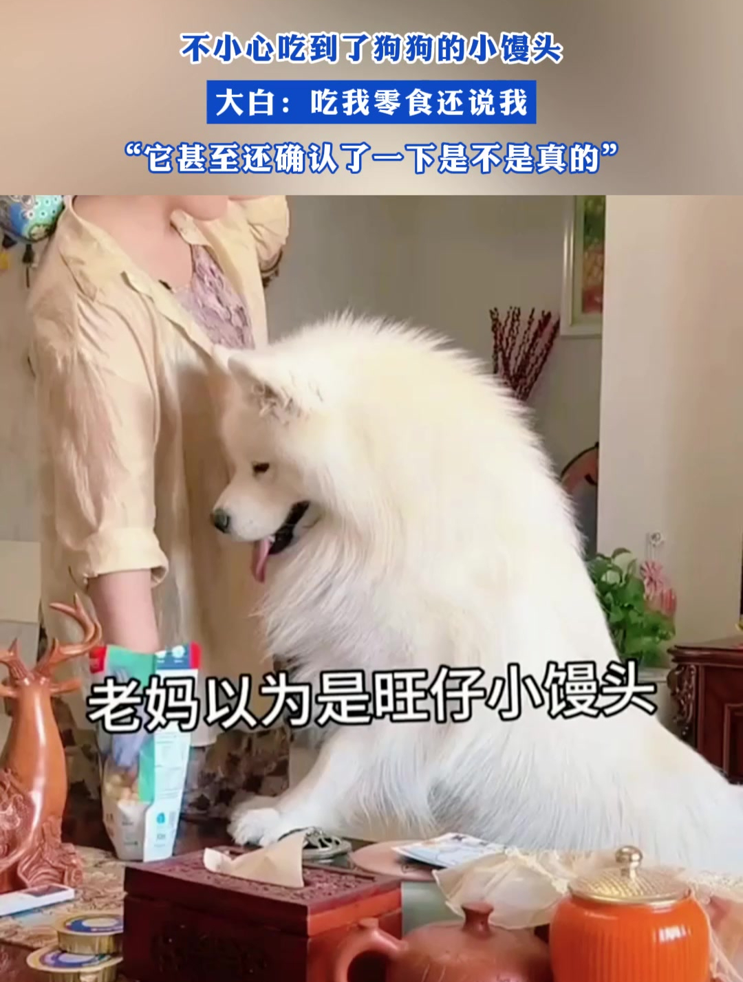 不小心吃到了狗狗的小馒头,大白:吃我零食还说我