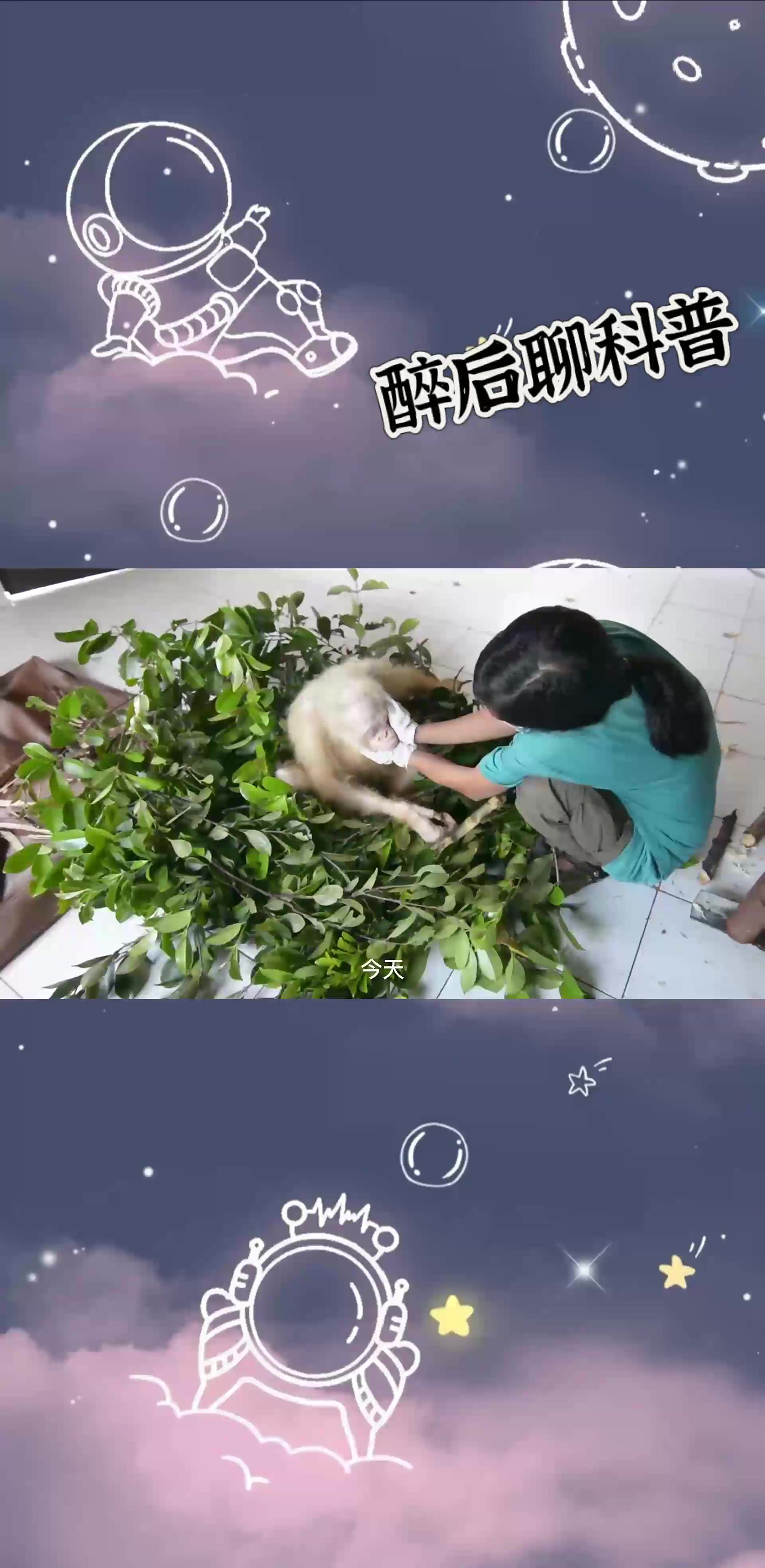 盘点九个白化动物,你见过几个!(上)