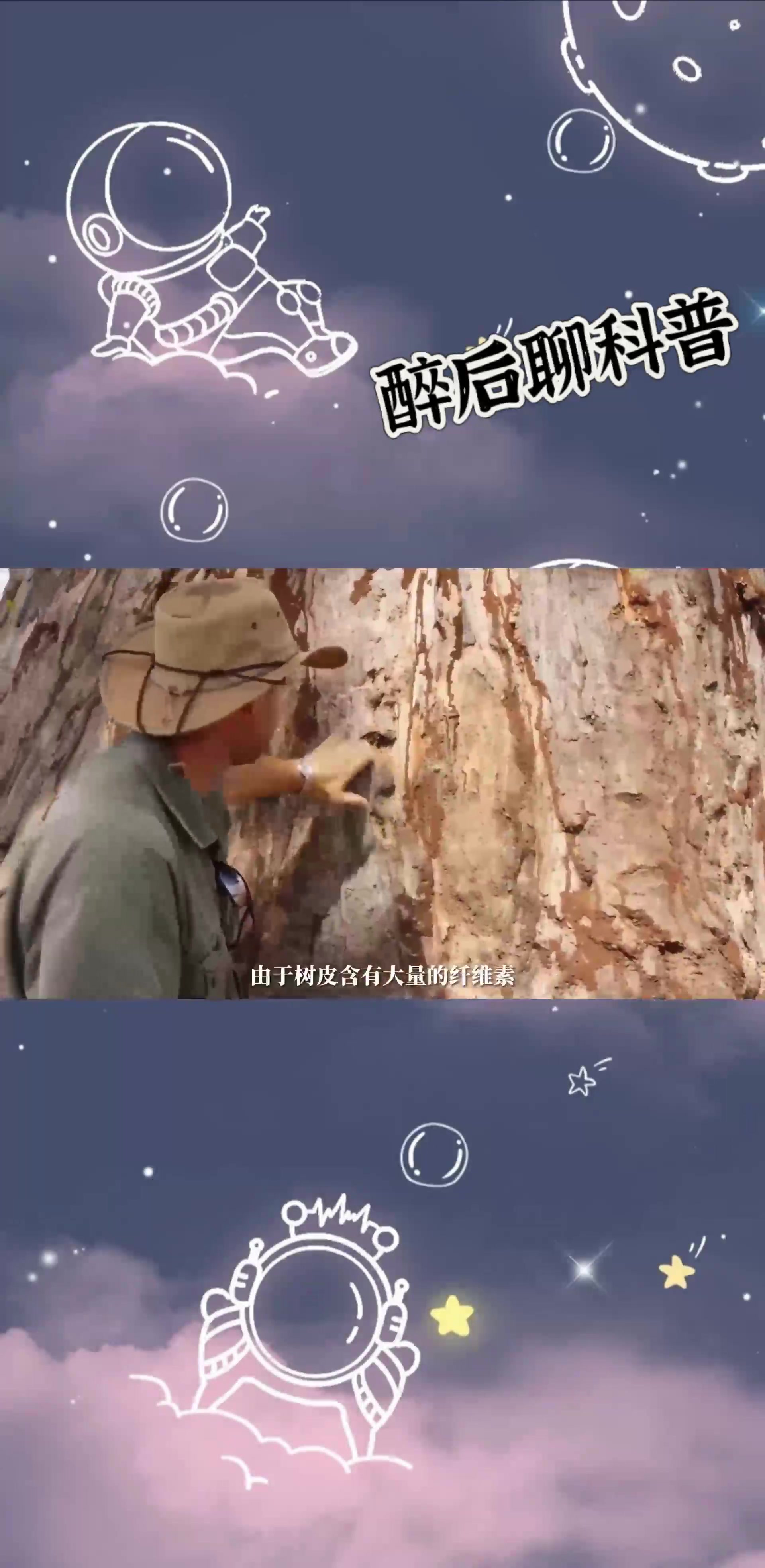 猴面包树到底有多好,能吃能喝又能住