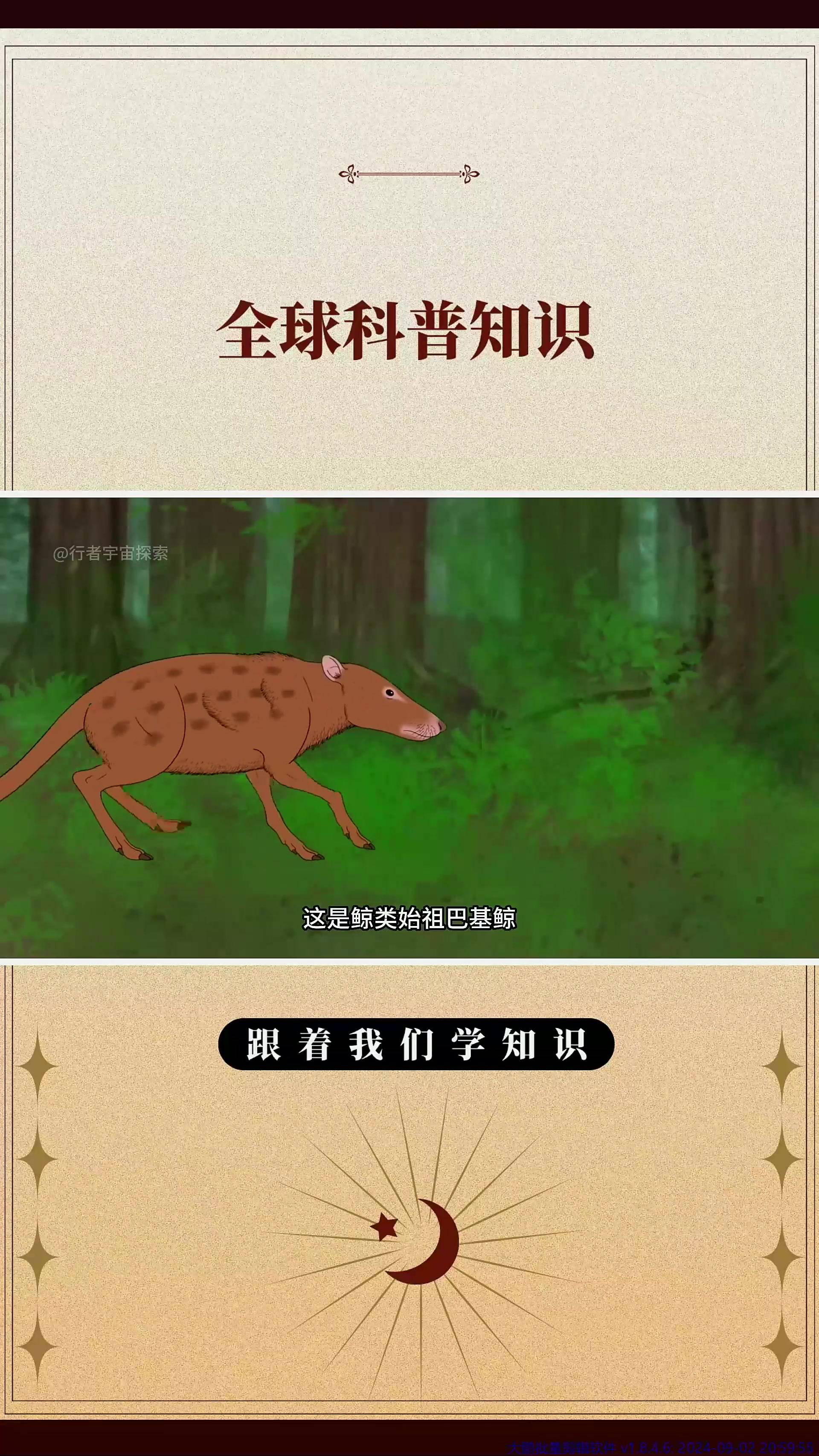 鲸鱼的演化史:从狼一般大小演变成海洋巨兽!