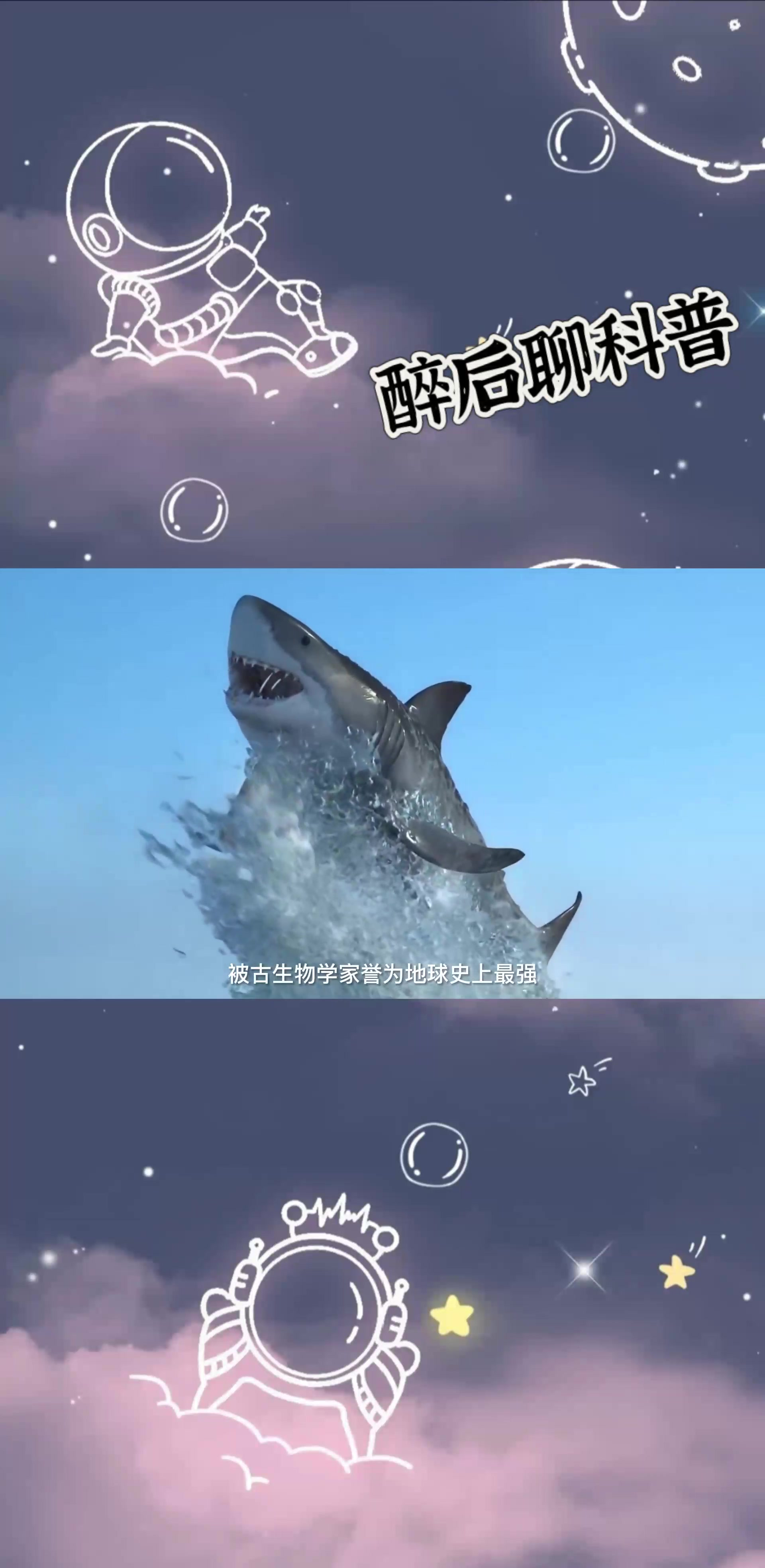 有史以来最大的10种鲨鱼排名,深海动物比我们想的要可怕!(上)