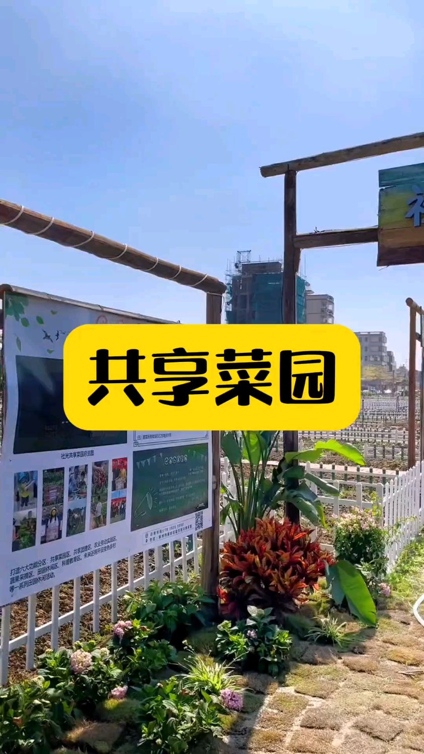 农庄打造共享菜园,吸引亲子家庭打卡