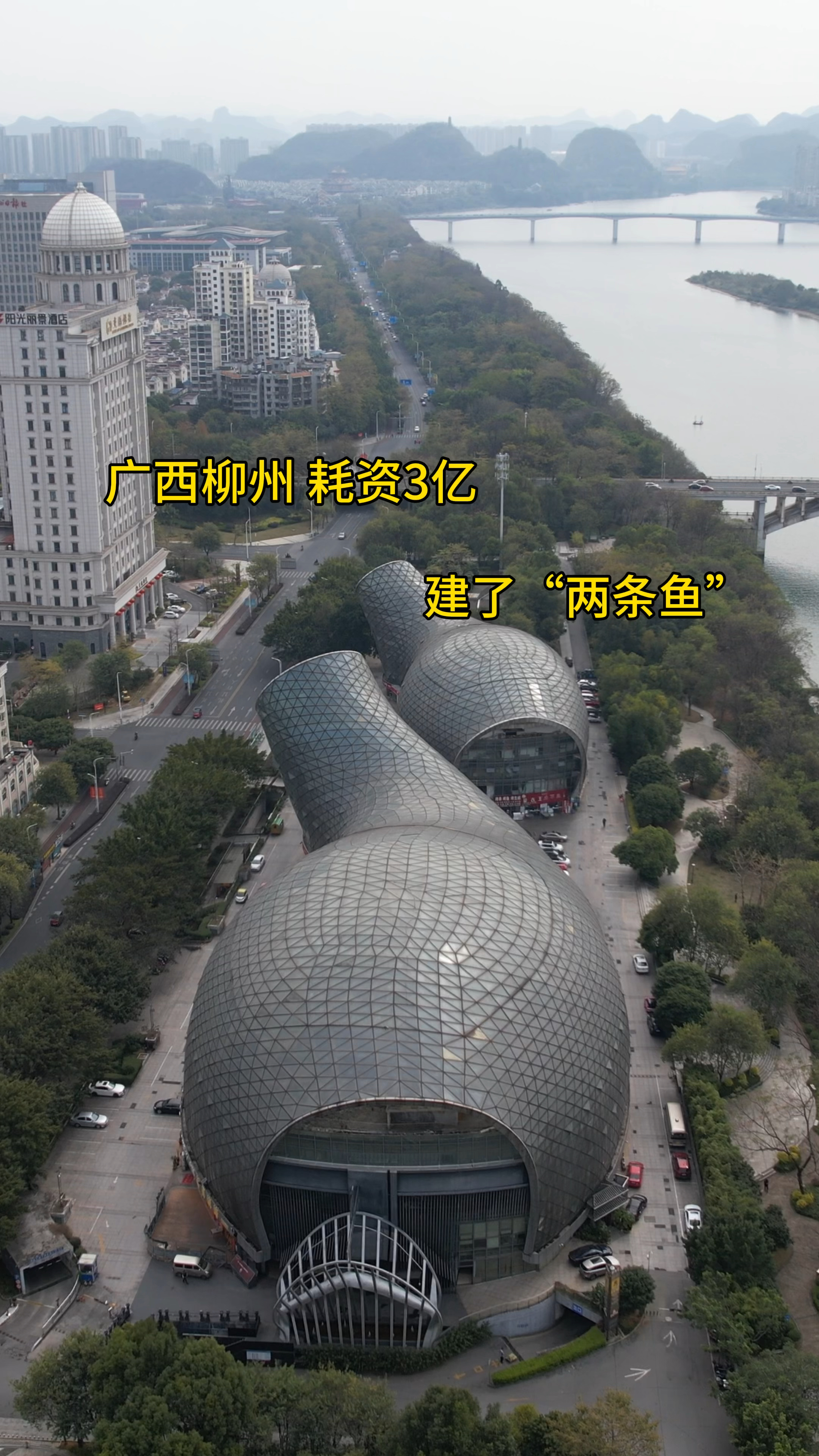 广西最奇特建筑双鱼汇,以两条飞跃鲤鱼为设计灵感,你觉得好看嘛